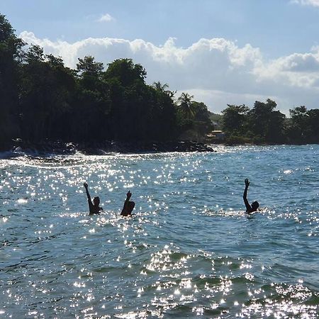 Villa Sunshine La Trinite Bagian luar foto
