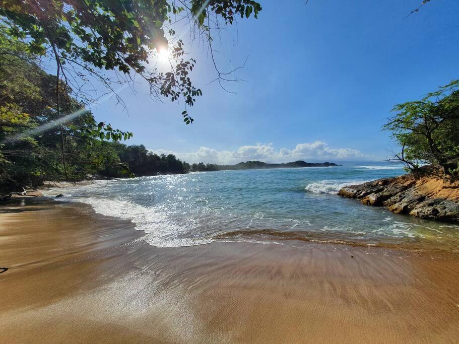 Villa Sunshine La Trinite Bagian luar foto